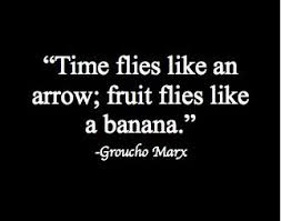 Time Flies Like An Arrow Fruit Flies Like A Banana Meaning Groucho Marx Groucho Marx Quotes Ambiguous Quotes Wise Words Quotes