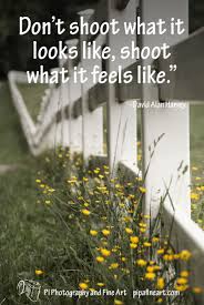 Pi Photography And Fine Art Online Landscape And Nature Photography Gallery Pi Photogra Quotes About Photography Nature Photography Quotes Nature Photography