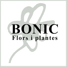 Flors Bonic