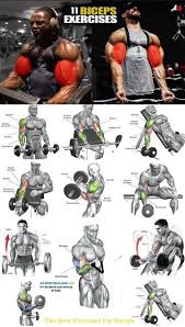 Tutorial Biceps Workout Big Biceps Workout Shoulder Workout Biceps Workout