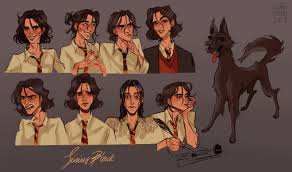 34 cm und ist aus cold cast, einem . Artstation Sirius Black Nat Garbaciak