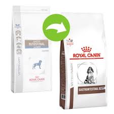 Royal Canin Veterinary Diet Dog Gastro Intestinal Puppy Bitiba Co Uk