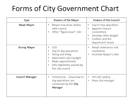 local government ss8cg5 ppt video online download