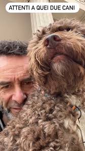 Osteopatia & fitness Padova