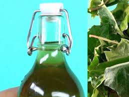 Recette Pour Fabriquer Gratuitement Votre Lessive Avec Du Lierre Lessive Trucs Et Astuces Maison Recette Lessive Maison