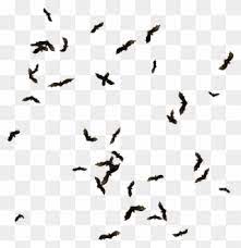 Swarm Of Bats Png Clipart Clip Art Downloadable Art Png