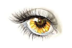 Sunflower Eye Sunflower Drawing Iris Art Eye Art