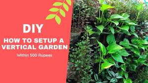 Check spelling or type a new query. How To Make Vertical Garden At Home At Low Cost In Hindi Green Plants Wall Vertical Garden Ideas Youtube
