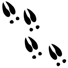 Deer Hoof Prints Google Search Deer Decal Deer Tracks Deer Track Tattoo