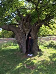 This year's culls begin on monday 1 february and monday 1. Mick Jagger On Twitter With My Favourite Tree In Richmond Park There Seem To Be Some Branches Missing This Year
