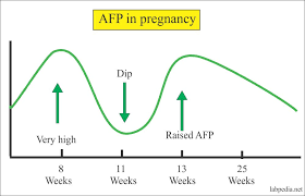 We searched for valera in a tent town, met the sunrise on the techno stage, drowned in the mud and burned under the sun. Alpha Fetoprotein Afp Maternal Maternal Serum Afp A1 Fetoprotein Labpedia Net