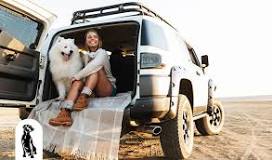 Traveling with Your Large Dog? Guide | Plush Paws Products