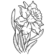 Your email address will not be published. Daffodil Coloring Pages Best Coloring Pages For Kids