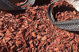Cypress and cedar contain natural chemicals and oils that deter insects. Landscaping Tips To Repel Mosquitos Town Hardware General Store