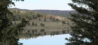 Your dogs will love our resort and spa where they can. Bear Paw Fishing Resort Panguitch Lake 2 Photos Panguitch Lake