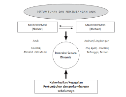 Faktor internal tingkah laku manusia adalah corak kegiatan yang sangat dipengaruhi oleh faktor yang ada dalam dirinya. Faktor Faktor Apa Saja Yang Mempengaruhi Pertumbuhan Dan Perkembangan Manusia Keperawatan Dictio Community