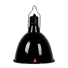 Amazon Com Repti Zoo Dome Reptile Lamp Fixture Reptile Uvb Light Fixture Optical Reflection Cover For Reptile Gla Reptile Lights Heat Lamps Reptile Heat Lamp