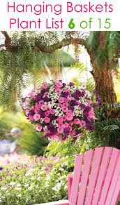 15 Beautiful Flower Hanging Baskets Best Plant Lists In 2020 Hanging Plants Outdoor Container Gardening Flowers Plants For Hanging Baskets