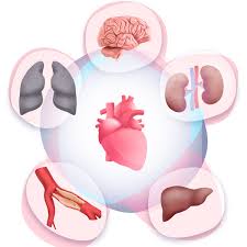 A continuación se enumeran los áreas temáticas del congreso. Comorbilidades En Insuficiencia Cardiaca 2021 Sac Sociedad Argentina De Cardiologia