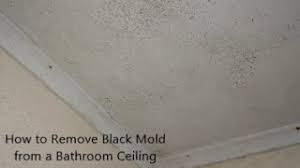 To stop black spots on bathroom ceiling. Black Spots On Ceiling And Walls