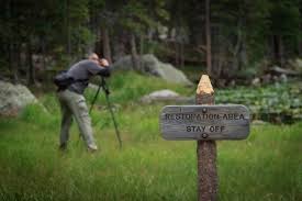 Image result for nature