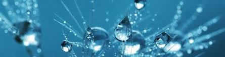 This is toxic to animals (kidney failure) and an environmental pollutant. Which Coolant Is Right For Your Car