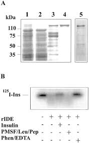B ) = 8 a 3 + 3 a 2 b − 5 a b 2 + b 3 ; Differential Degradation Of Amyloid B Genetic Variants Associated With Hereditary Dementia Or Stroke By Insulin Degrading Enzyme Journal Of Biological Chemistry