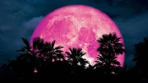 El eclipse lunar total que ocurrirá este 27 de julio de 2018 no solo cambiará el ambiente y será uno de los más largos del siglo, sino que la posición. Como Ver Online Por Youtube La Superluna Rosa 2020 Apps Para Fotografiarla As Com