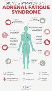What is adrenal insufficiency (ai). 65 Adrenal Fatigue Diet Ideas Adrenal Fatigue Adrenals Adrenal Health