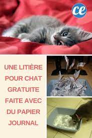 une litiere pour chat gratuite faite avec du papier journal litiere chat chat gratuit chat