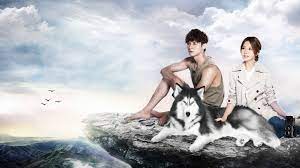Starring derek chang, amber an, samuel gu, katie chen and simon hsueh as the main cast. Prince Of Wolf Rakuten Viki