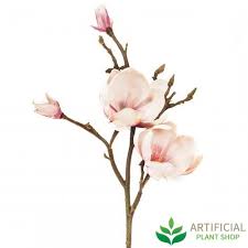We did not find results for: Magnolia Pink 60cm Bundle Of 6 Magnolia Flower Watercolor Flowers Floral Painting