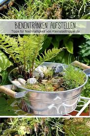 Bienentranke In 2020 Kleine Gemusegarten Bienenfreundlicher Garten Garten