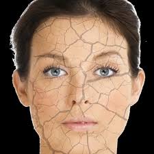 SCOUTS ON SUNDAY KAIWAKA DAFFODIL DAY