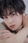 前田大輔 (タレント)