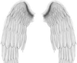 How to make your own wings in photoshop? Angel Wings Psd Free Psd Download 17 Free Psd For Commercial Use Format Psd