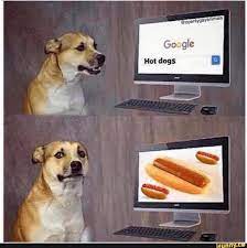 Google Hot Dogs Dog Memes Poor Dog Hot Dogs