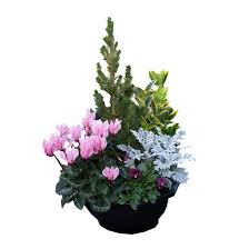 Georgette WALTER née KLEIN