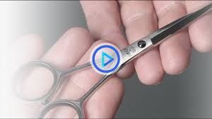 Check spelling or type a new query. Hairdressing Training How To Hold A Pair Of Scissors Shears 029 Youtube