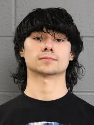 Southwest Chicago Post: Crime News Update