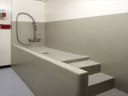 Concrete Bath Shower For Dogs Place A Bar On Back Wall For Leash And Cabinet Next To Area For Shampoo Brushes Etc Dog Bath Tub Dog Washing Station Dog Bath