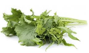 Is adding vegetables to your kitty's meals a good idea, or are they a food group best avoided? Can Rabbits Eat Broccoli Rabe Or Rapini Pet Care Advisors