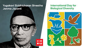 Yugakavi Siddhicharan Shrestha Janma Jayanti/International Day for  Biological Diversity