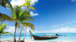 Check spelling or type a new query. Image Result For Natural Background Wallpaper Hd Palm Trees Wallpaper Beach Wallpaper Nature Beach