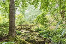Die bereiche wurden dabei in regionaltypischen formen gestaltet. Tropicarium Botanischer Garten