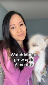 What a difference 6 months makes. So much more floof. It’s nice when your  kittens go to homes in the same city and you can keep in touch with them  ❤️. I truly care about all the beautiful kittens we ...