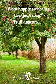 We did not find results for: Finding Calm In The Chaos Commitment Susanbmead Plants Fruit Trees Fruit Tree Garden