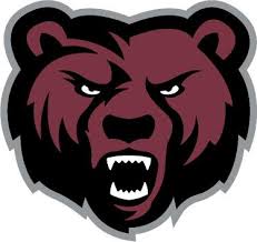 Potsdam Bears Volleyball