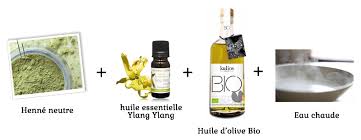 Henne Neutre Bio Soin Cheveux Blog Bien Etre Jeune Recettes