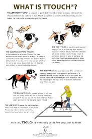 Ttouch Is Awesome There Is A Large Animals Tract A Companion Animals Tract And The Newest For Humans Well W Dog Training Obedience Dog Care Puppy Training
